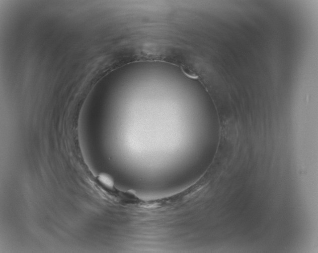 X0000083041009200702021146