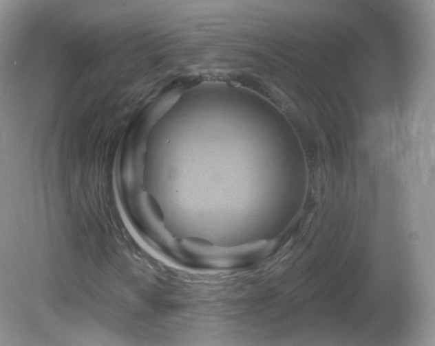 X0000083041010200702021146