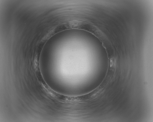 X0000083041011200702021146