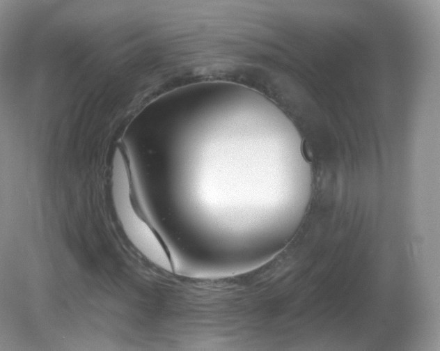 X0000083041012200702021146