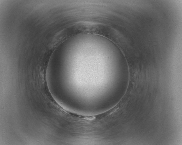 X0000083041013200702021146