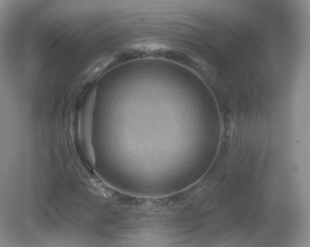 X0000083041014200702021146