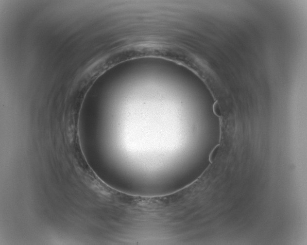 X0000083041015200702021146