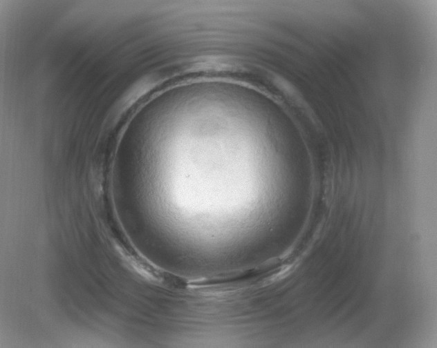 X0000083041017200702021146