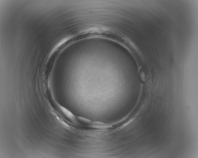 X0000083041018200702021146