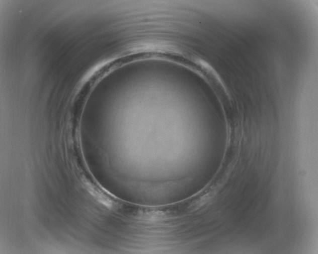 X0000083041019200702021146