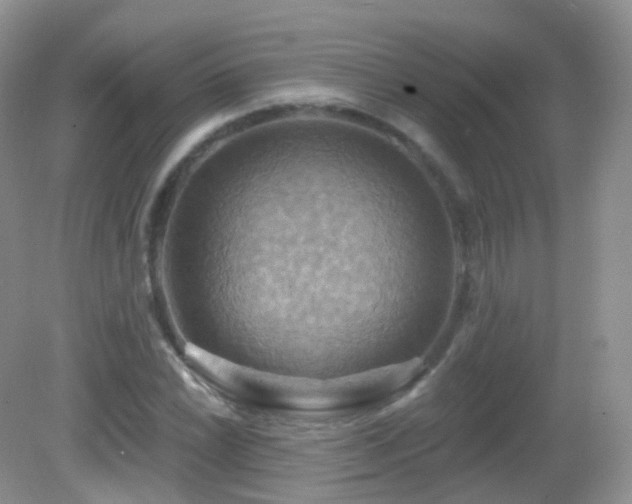 X0000083041022200702021146