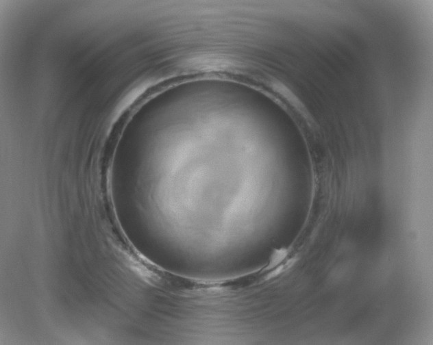 X0000083041023200702021146