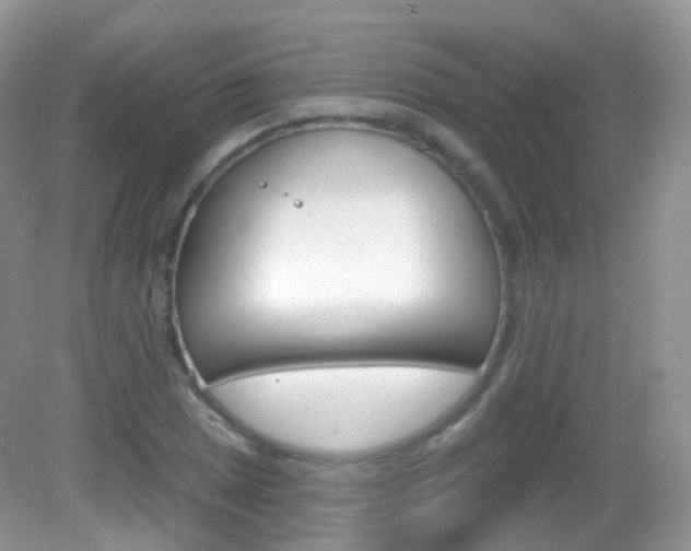 X0000083041025200702021146