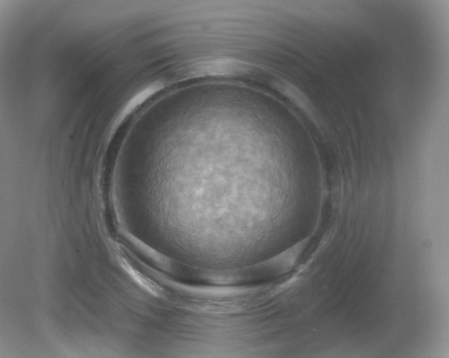 X0000083041026200702021146