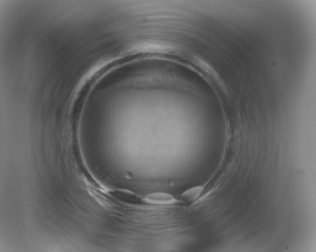 X0000083041027200702021146