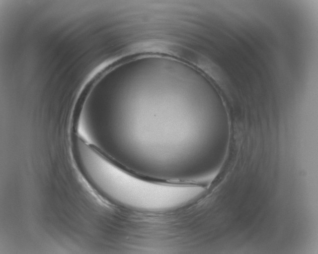 X0000083041028200702021146