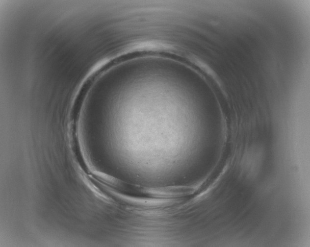 X0000083041029200702021146