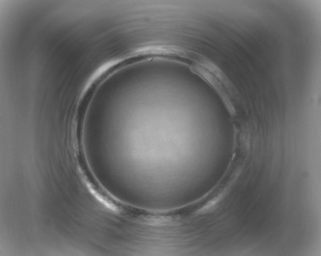 X0000083041030200702021146