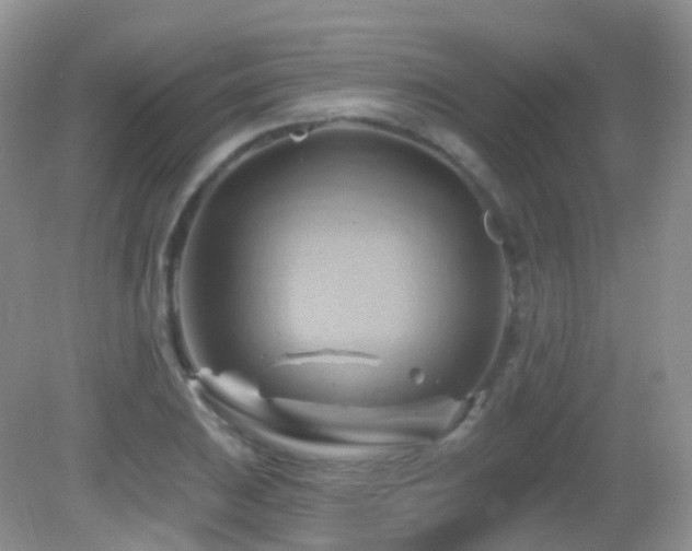 X0000083041031200702021146