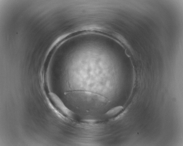 X0000083041032200702021146