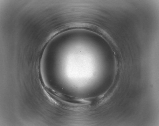 X0000083041033200702021146