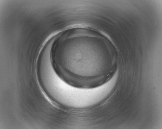 X0000083041034200702021146