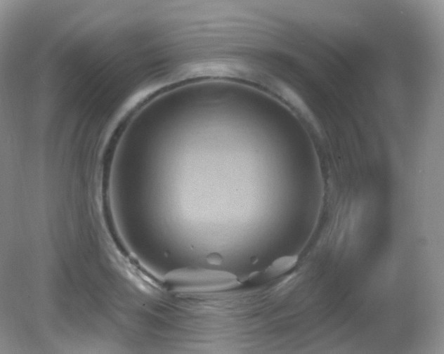 X0000083041035200702021146