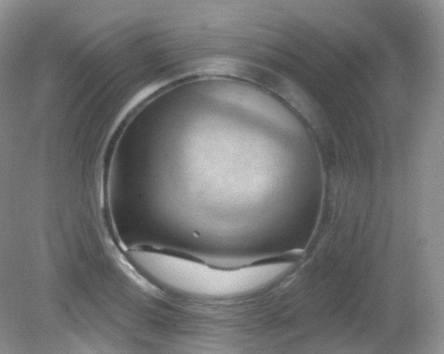 X0000083041036200702021146