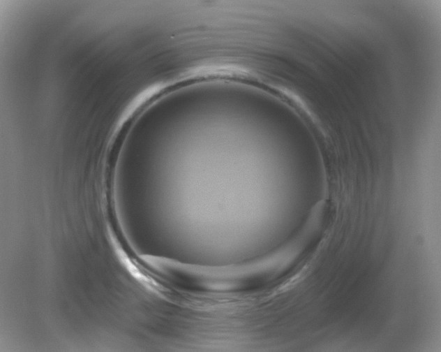 X0000083041038200702021146