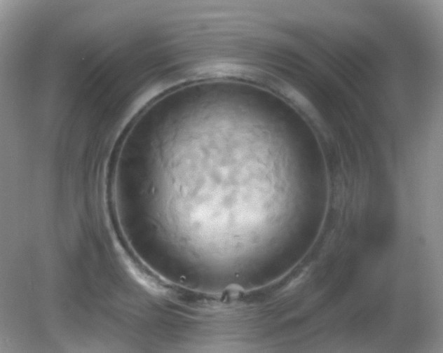 X0000083041039200702021146