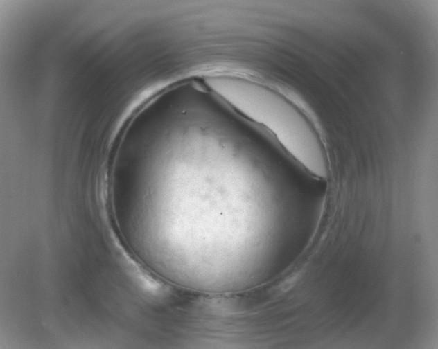 X0000083041040200702021146