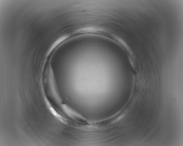 X0000083041042200702021146