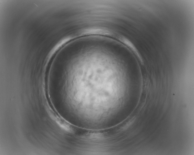 X0000083041043200702021147