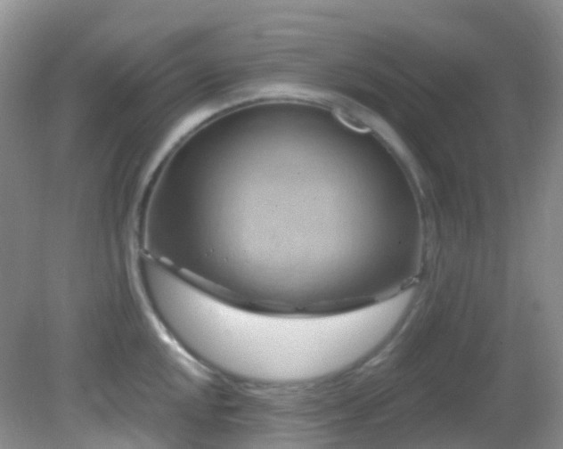 X0000083041048200702021147