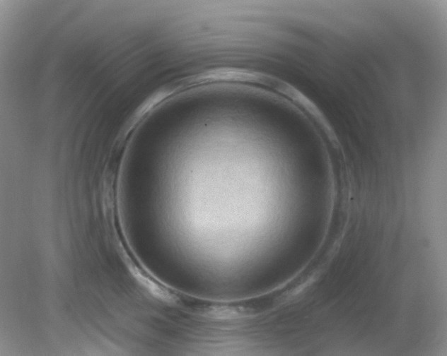 X0000083041049200702021147