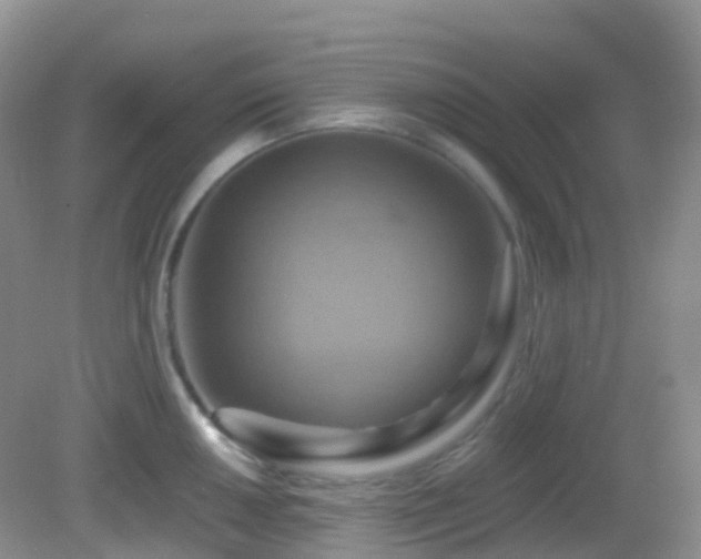 X0000083041050200702021147