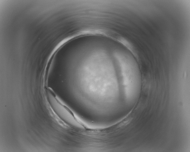 X0000083041052200702021147