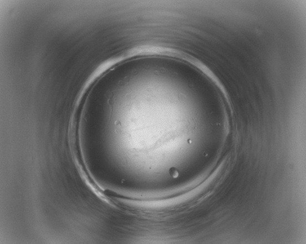 X0000083041053200702021147