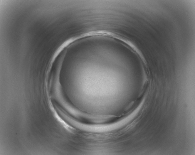 X0000083041054200702021147