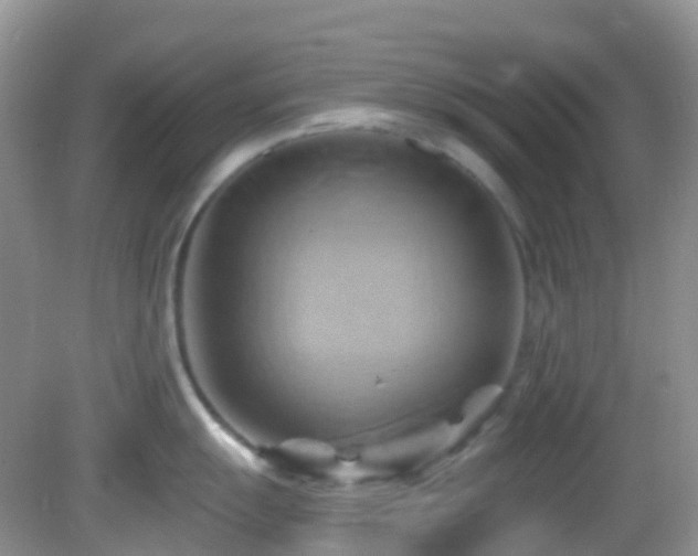 X0000083041055200702021147