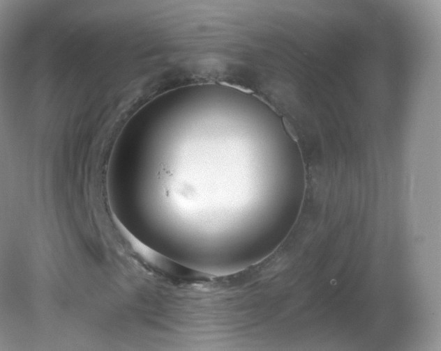 X0000083041057200702021146