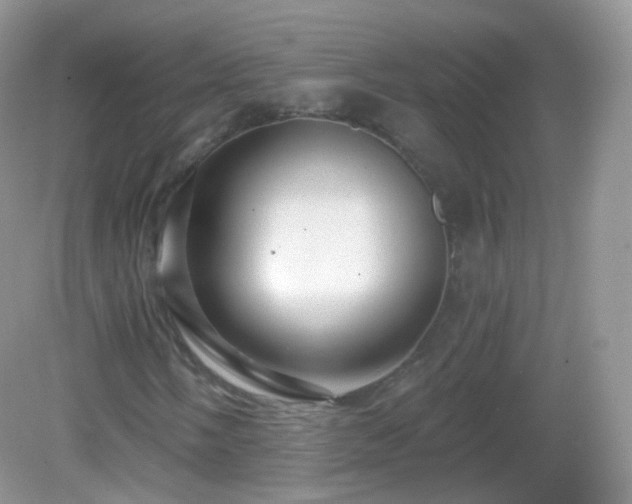 X0000083041058200702021146