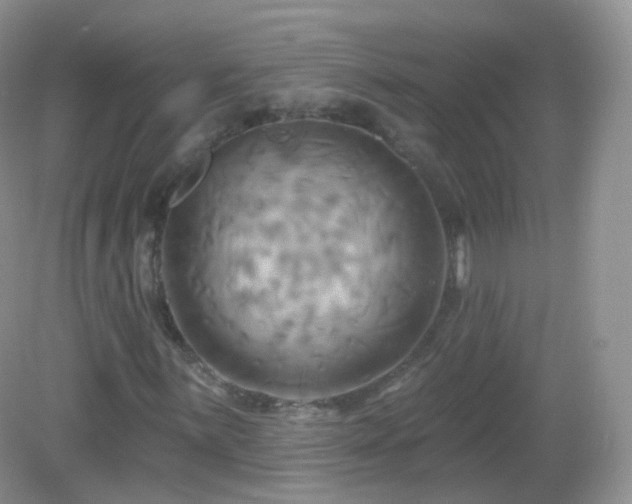 X0000083041059200702021146