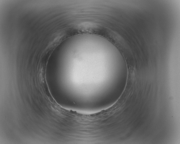 X0000083041060200702021146