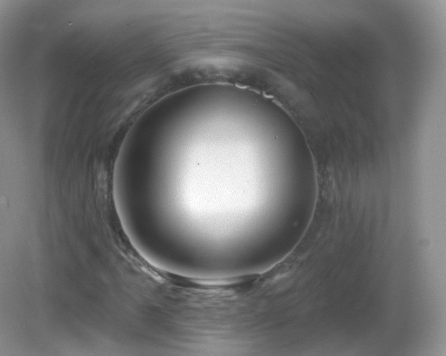 X0000083041061200702021146