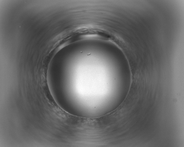 X0000083041062200702021146