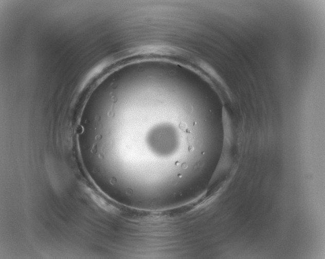 X0000083041067200702021146