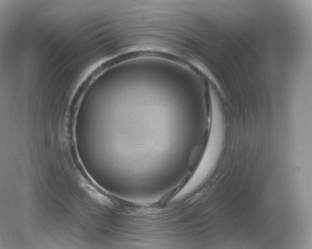 X0000083041068200702021146