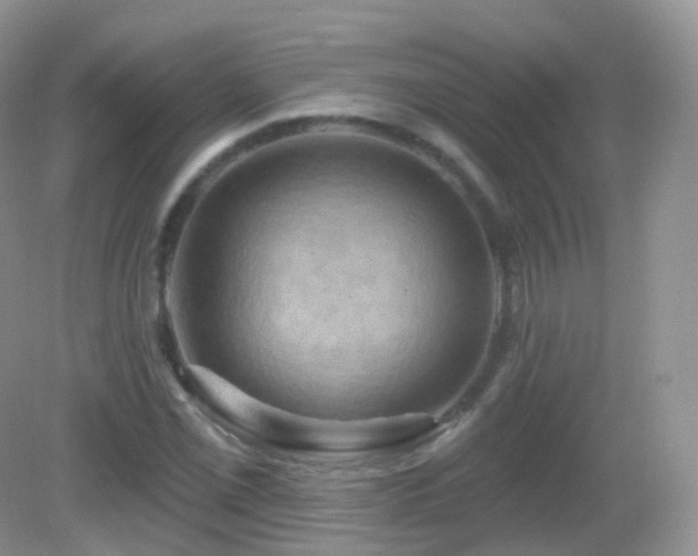 X0000083041069200702021146