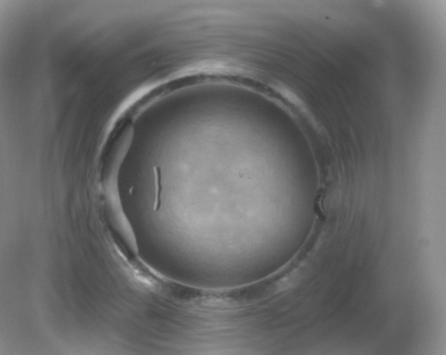 X0000083041070200702021146