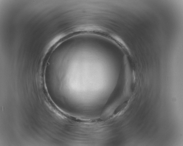 X0000083041071200702021146