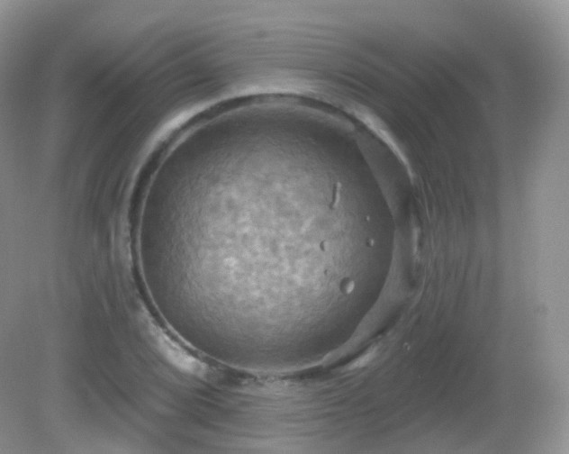 X0000083041072200702021146