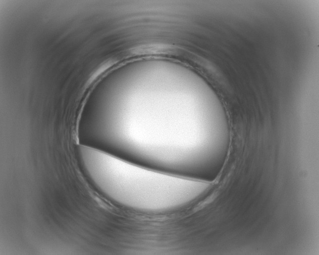 X0000083041073200702021146