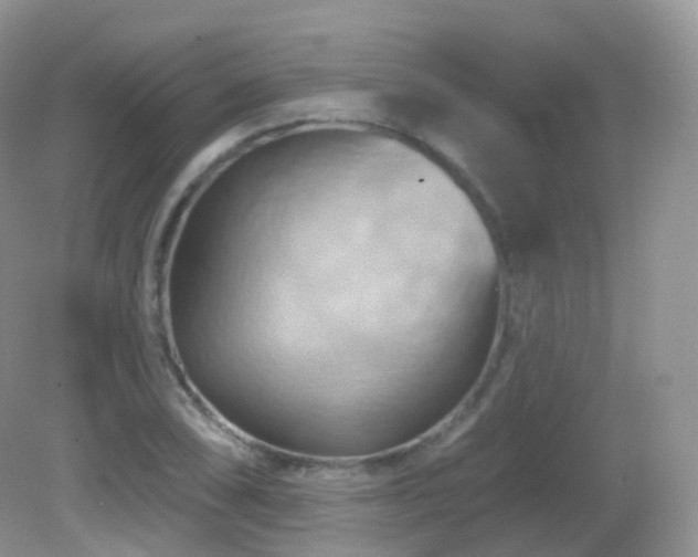 X0000083041074200702021146